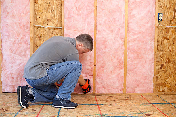 Best Specialized Insulation Services in Palmyra, NJ
